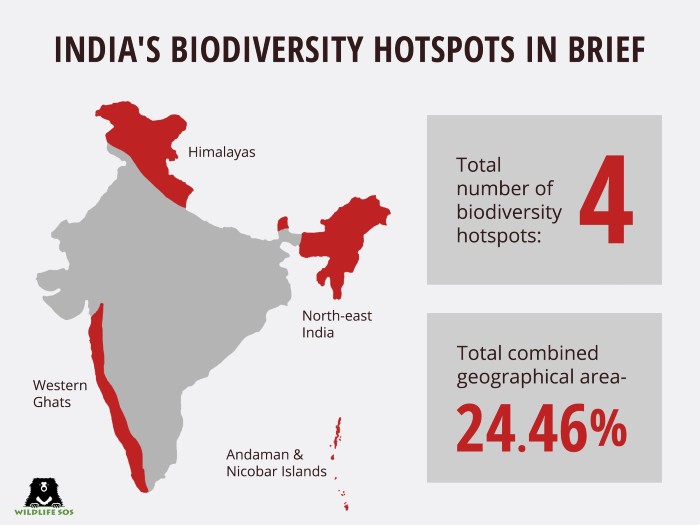 Biodiversity hotspots of india