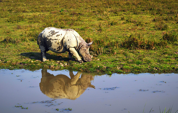 name of grasslands in india