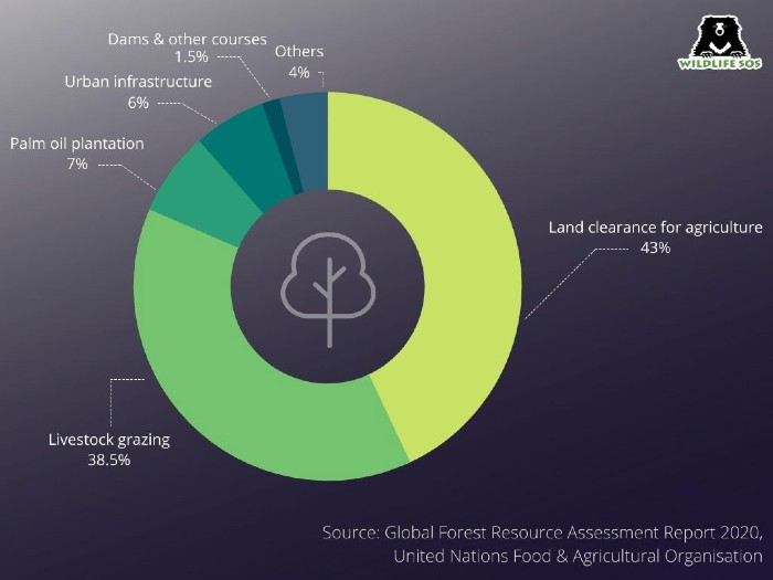 Causes of global deforestation