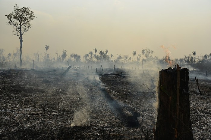 Deforestation in Brazilian Amazon is at a 12-year-high under the current government