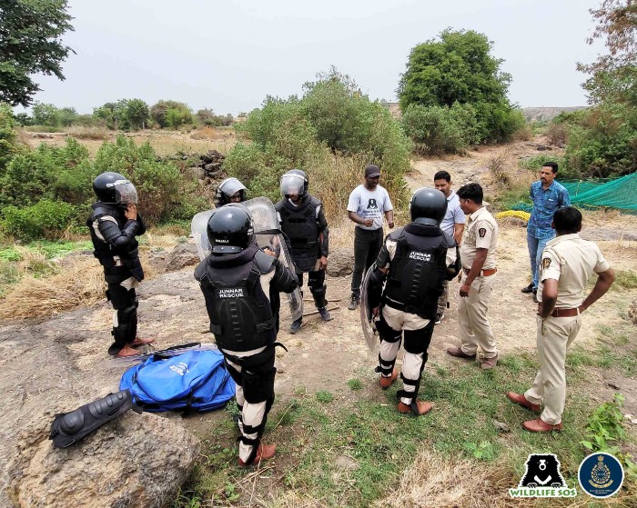 Wildlife SOS and Forest Department team wore protective gear for the rescue operation.