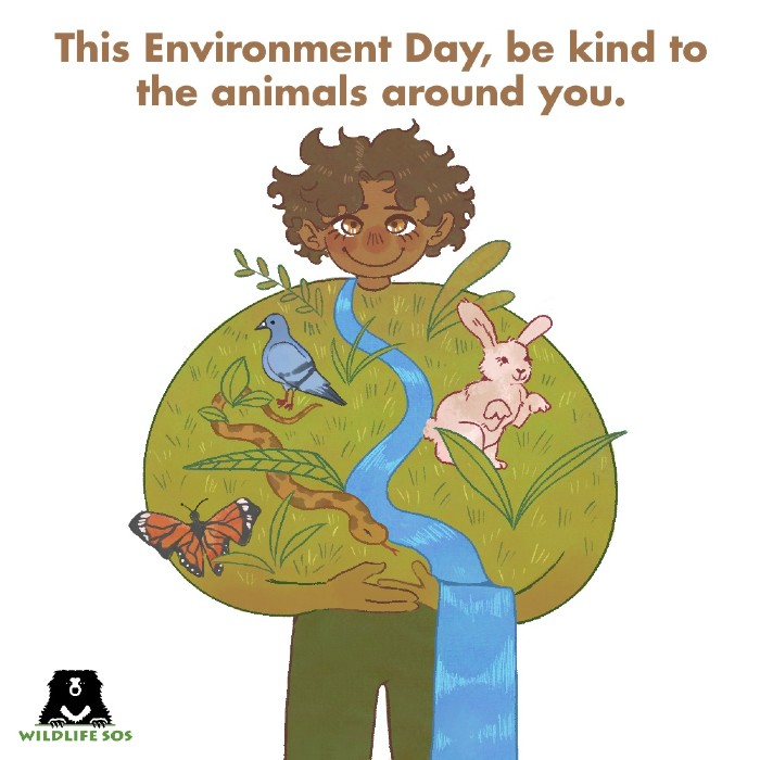 This Environment Day, be kind to animals! 