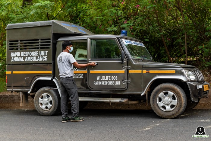 Ready, Steady and On The Go: The Rapid Response Unit - Wildlife SOS