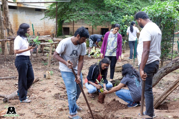 Travelopia members come to volunteer at BBRC. [Photo (c) Wildlife SOS/Lenu Kannan]