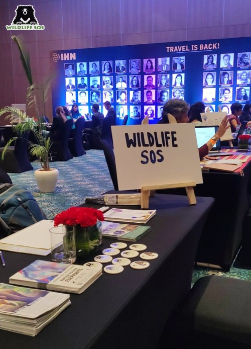 Wildlife SOS attends IHN Konnect with Rare India. [Photo (c) Wildlife SOS/Malavika Jayachandran]