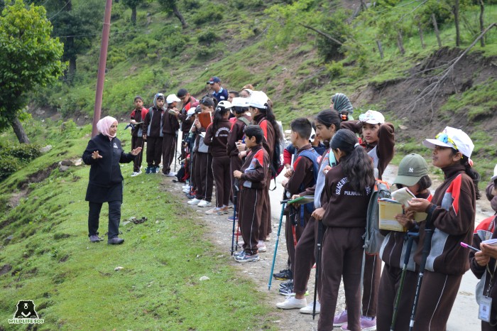 The camp also consisted of a nature walk meant to develop a deeper understanding of the biodiversity of Jammu & Kashmir. [Photo (c) Wildlife SOS]