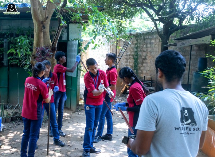 The students undertake various activities to help the team care for the rehabilitated animals. [Photo (C) Wildlife SOS/Lenu Kannan]
