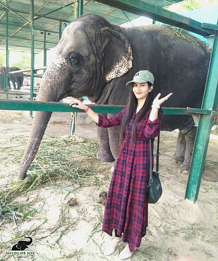 Sonam initially visited the Wildlife SOS centres as a high-school student.