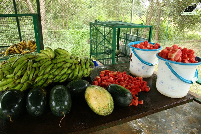 Fruits cut up for the elephants along with the help of some volunteers. [Photo (c) Wildlife SOS/Mradul Pathak]
