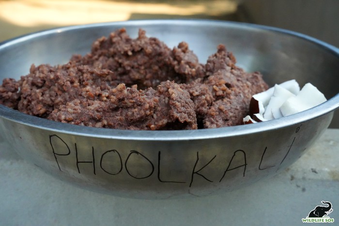 Phoolkali's porridge bowl. [Photo (c) Wildlife SOS/Mradul Pathak]