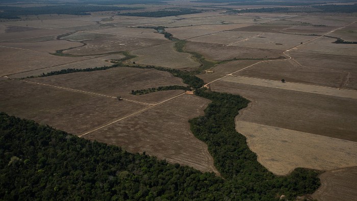 Amazon deforestation wikimedia commons biodiversity loss