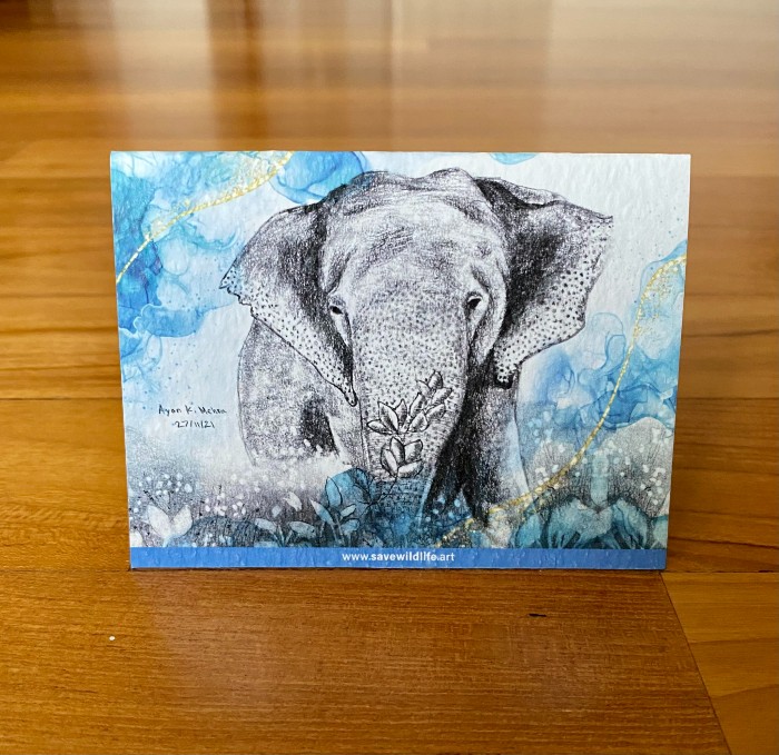 Ayan's artwork, printed on cards made out of recycled paper.