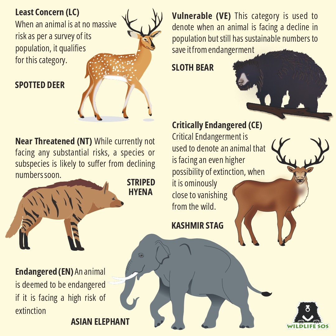 Population Of Animals