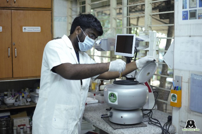 Medical instrument: Centrifuge used to split blood samples