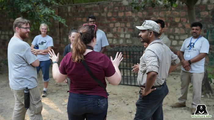 Bear TAG team keepers and our sloth bear caregivers discuss strategies for rescued sloth bears in the training workshop