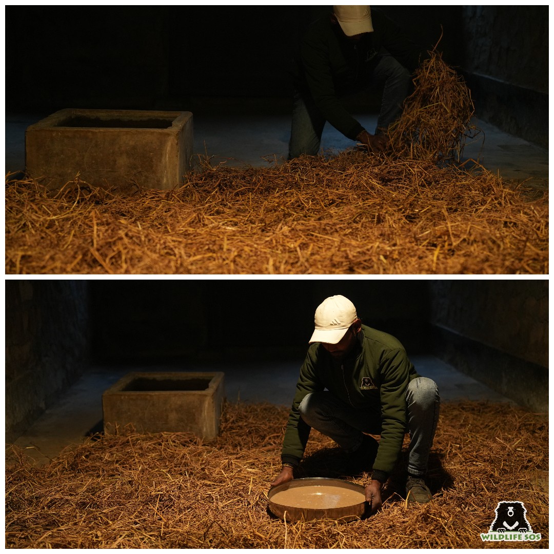 Specialised winter management care is also provided to our animal dens 