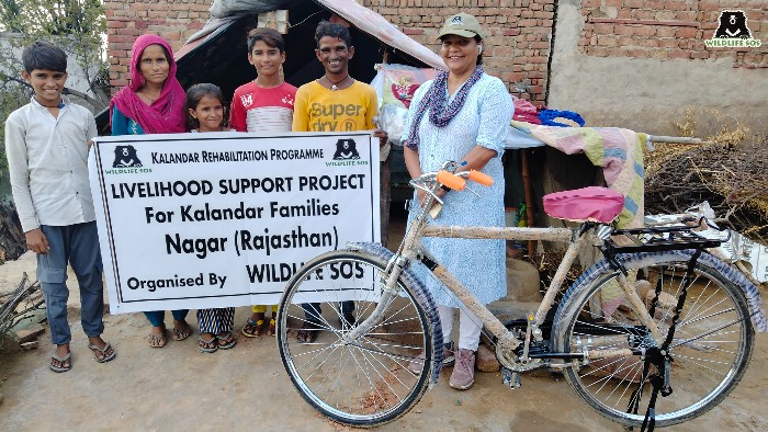 The Wildlife SOS Kalandar Rehabilitation Programme has provided significant support to approximately 5,000 Kalandar families, effectively drawing them away from poaching and taming bears.