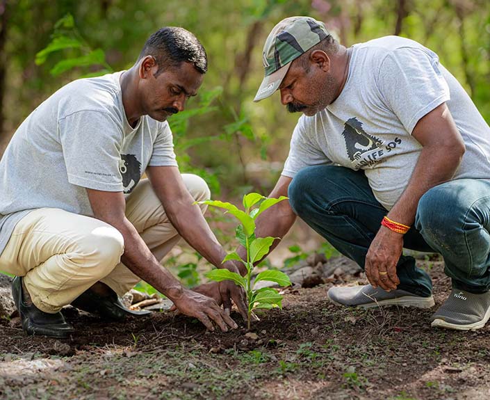 Restoring Habitats for an Equitable Future