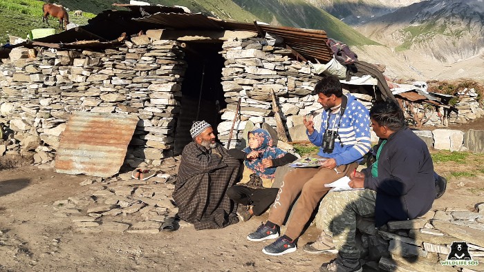 Questionnaire survey for the research was conducted by the Wildlife SOS team with different stakeholders to map snow leopard habitat and interactions.