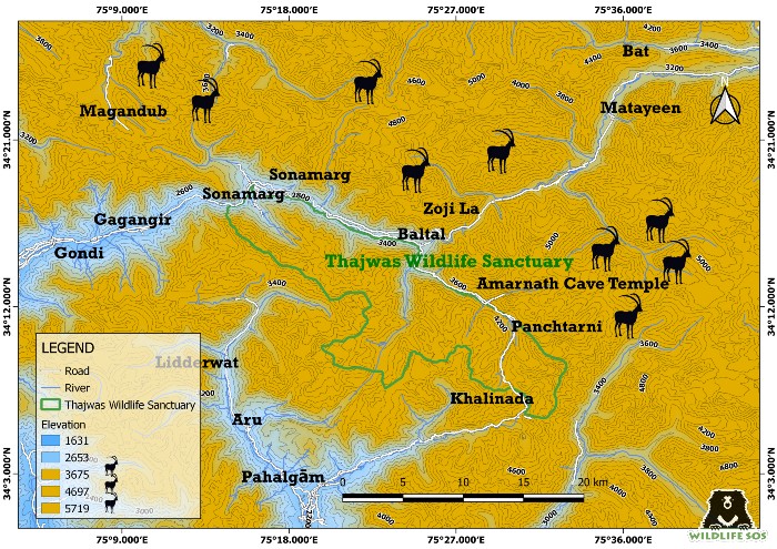 Map shows ibex distribution during the field survey.