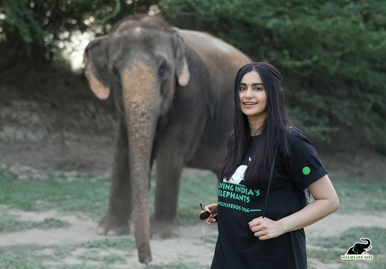 Adah Sharma