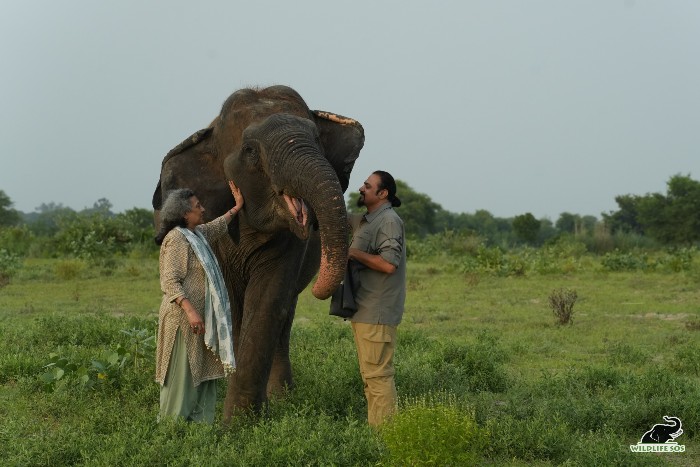 Elephant Suzy with Wildlife SOS co-founders