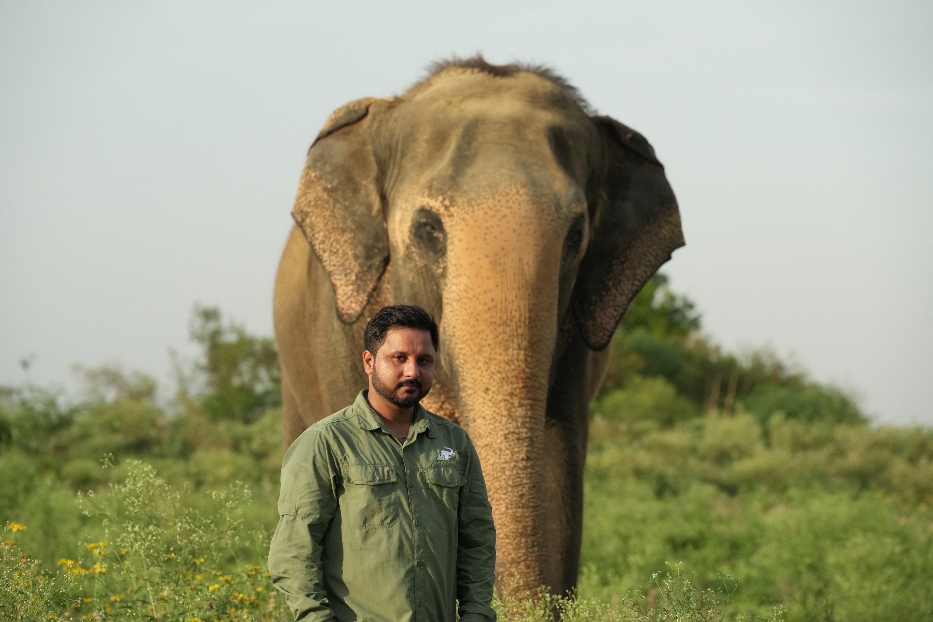 Staff Profile Of The Month: Harendra Singh - Wildlife Sos