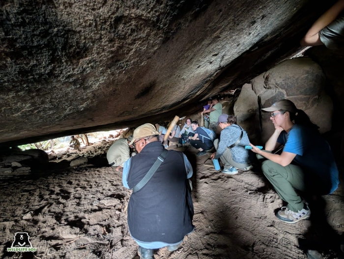 The Bear SAFE team explored Ramdurga, walking the same paths as the sloth bears do and observing signs of their presence through indirect evidence such as scat and claw marks. 