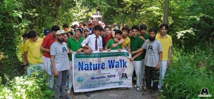 Nature Walk event organized in Jammu & Kashmir regarding the World Environment Day in the halfway of the year