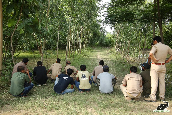 Wildlife SOS works in close collaboration with the forest department officials to rescue elephants