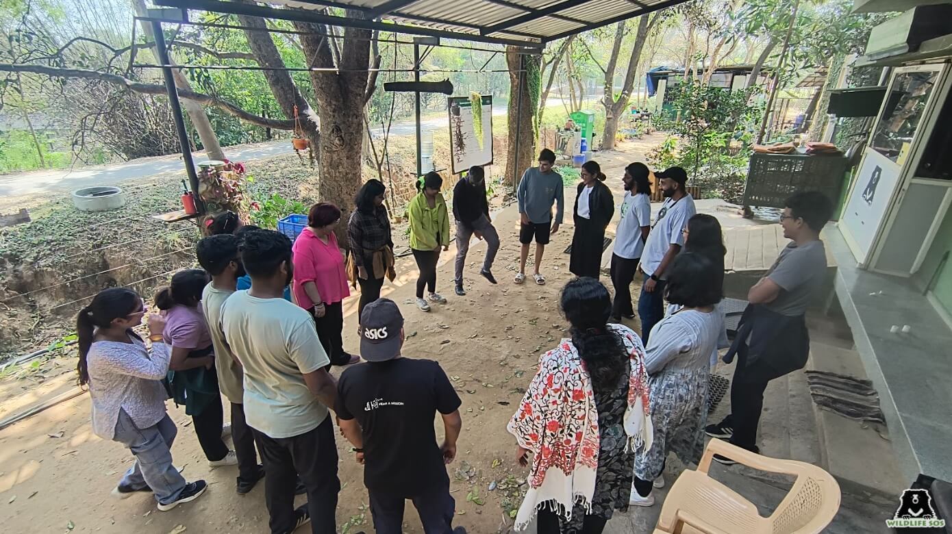 Enable India team along with Wildlife SOS staff played games together