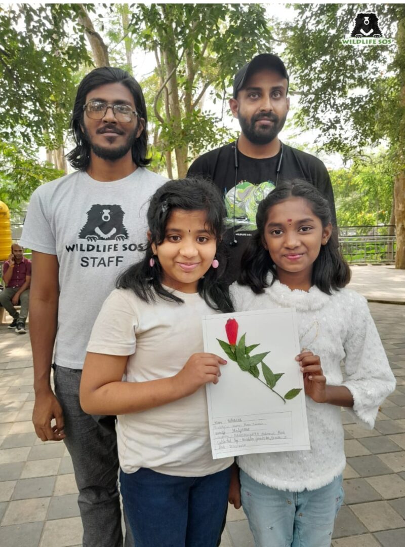 Children were surprised with the herbarium making workshop and took some sheet home as well