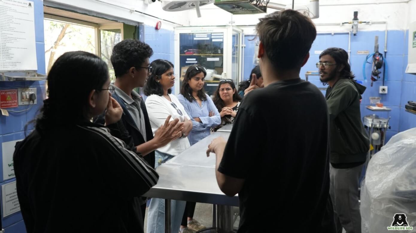 Volunteers were briefed about the treatment facility