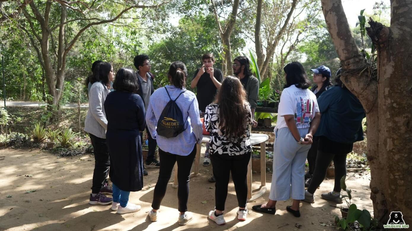 Enable India Volunteers being briefed about Mealworms