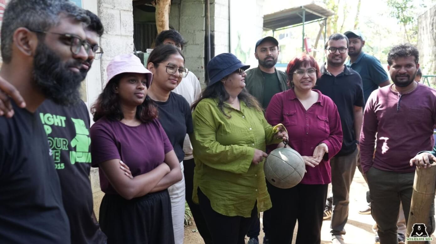 Volunteers were introduced to Enrichments for Bears