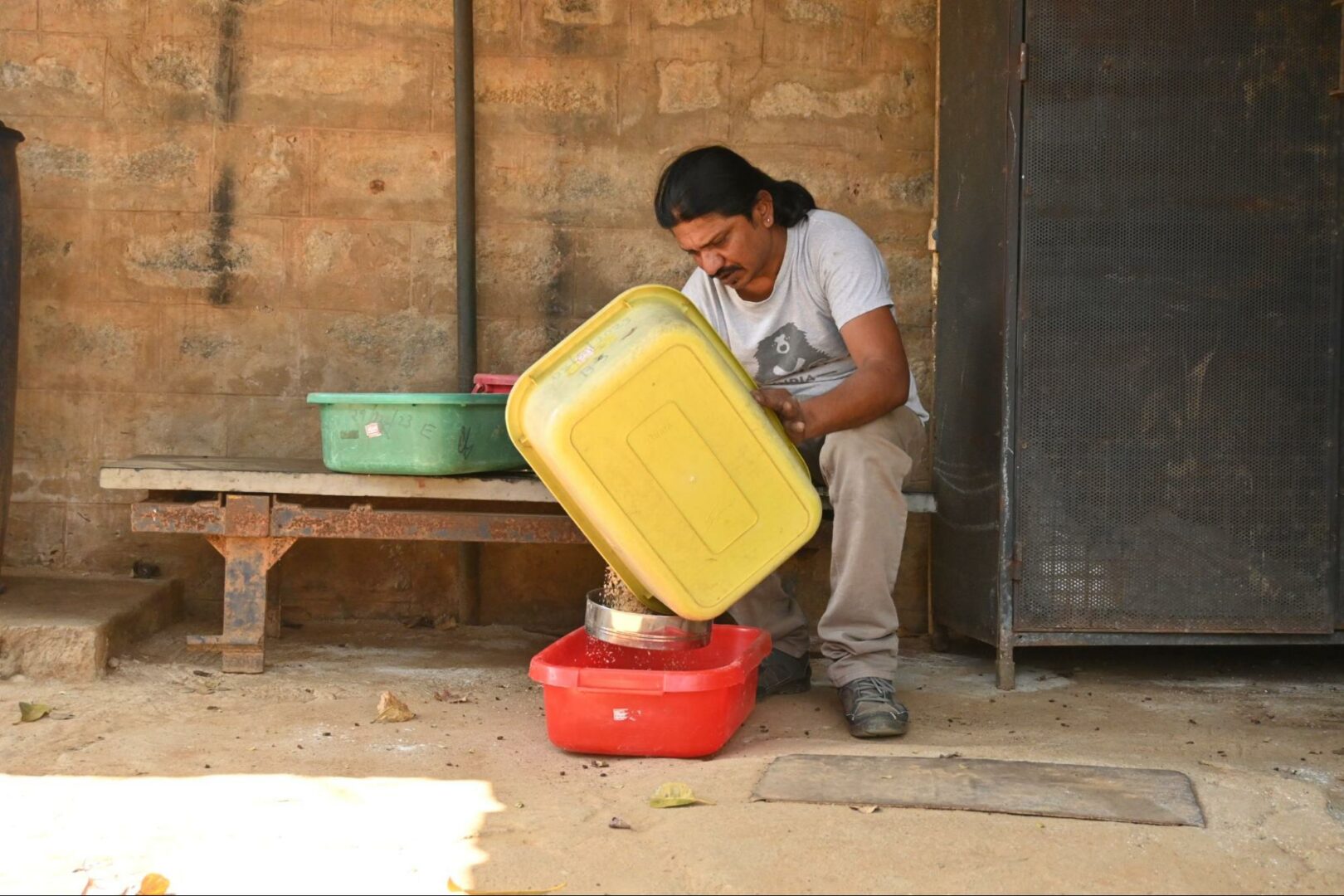 Shreekantiah transferring the mealworms at Wildlife SOS Bannerghata Bear Rescue Centre (BBRC)