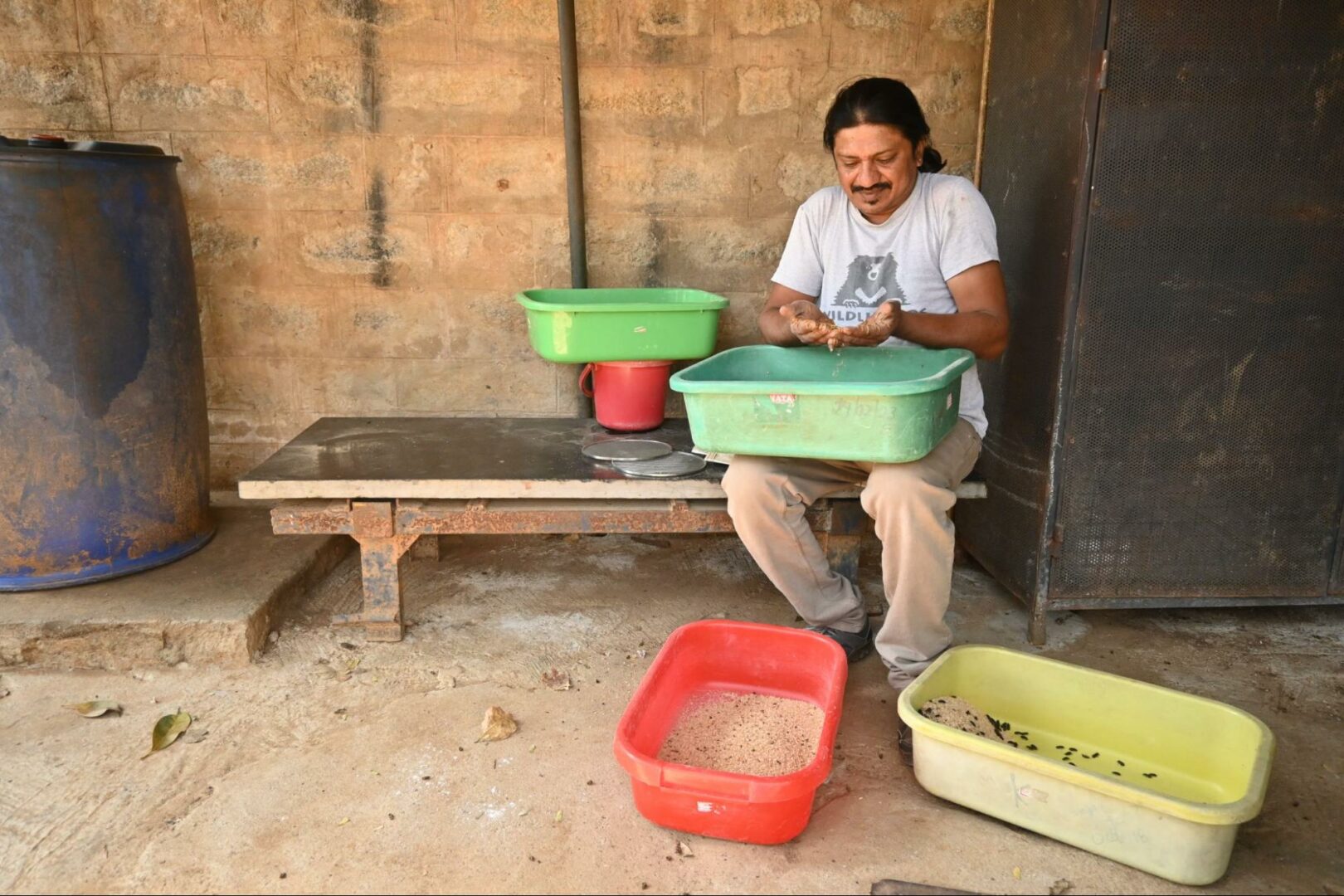 Sreekantiah inspecting the mealworm unit at Wildlife SOS Bannerghata Bear Rescue Centre