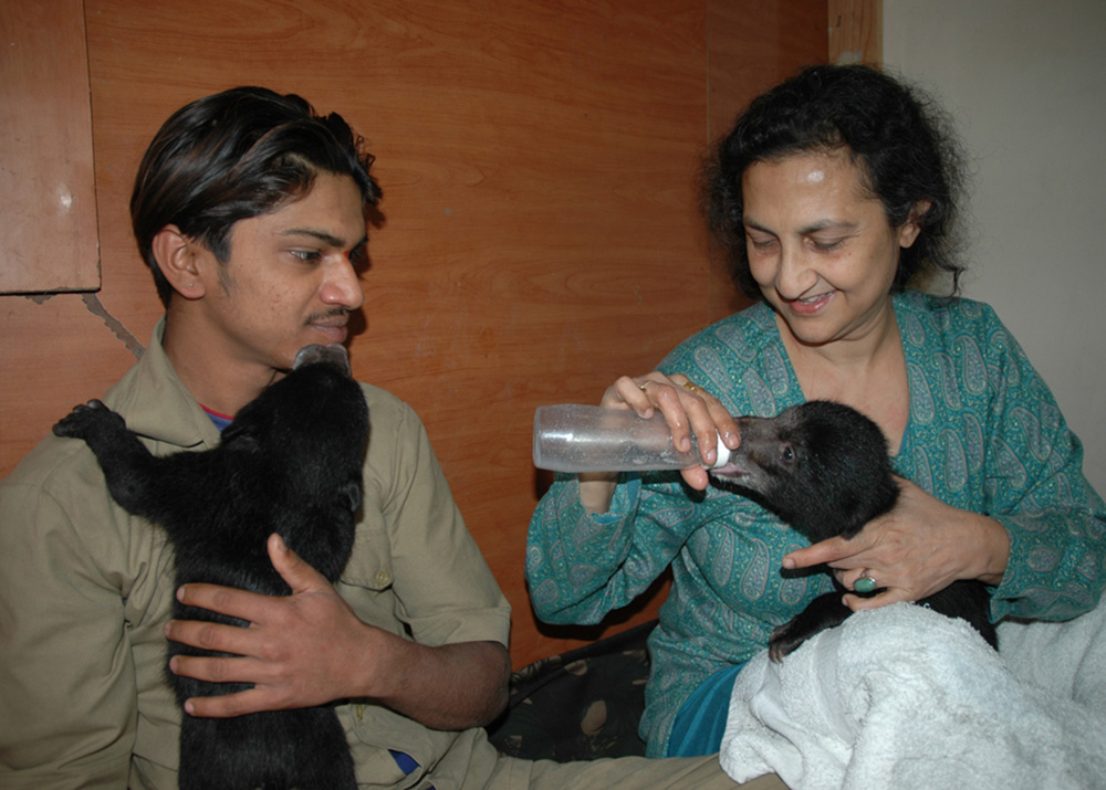 Shreekantiah with Geeta Seshamani during the Wildlife SOS Dancing Bear Project