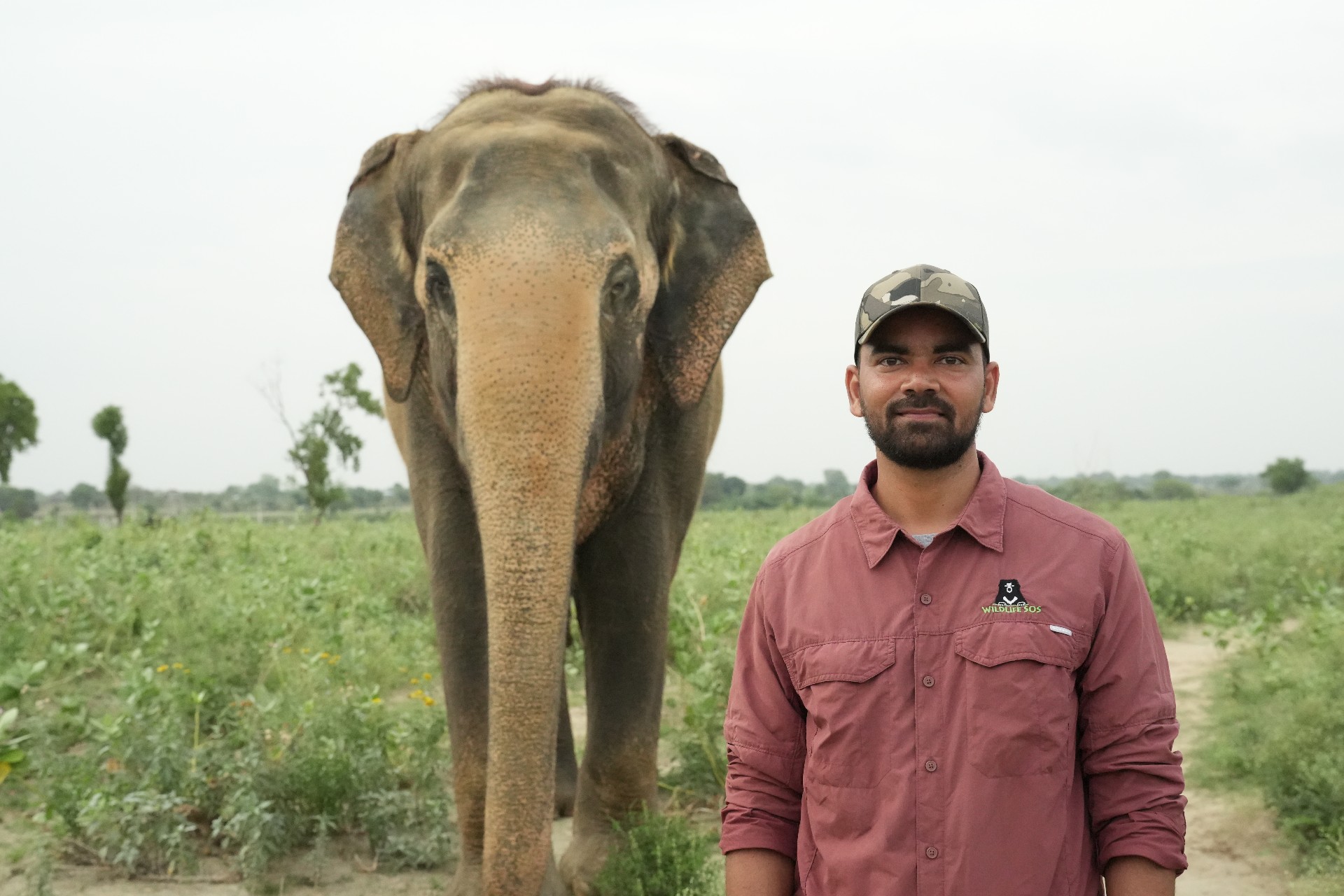 Shivam Rai